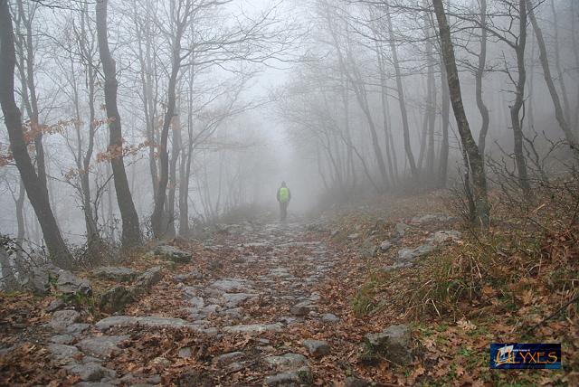 discesa a valle.JPG